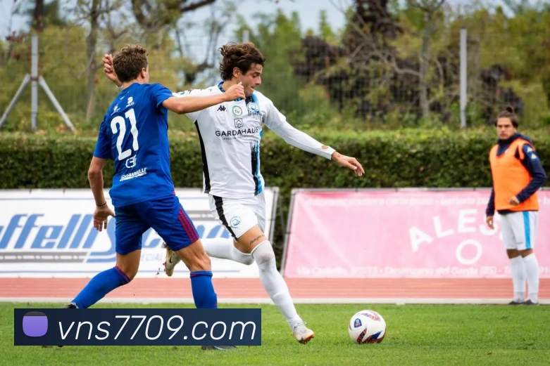 威尼斯人在线网站平台生态图